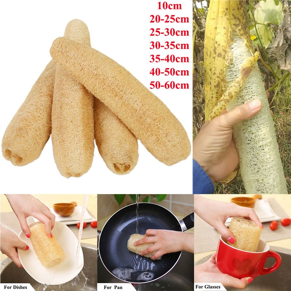 Body Loofah Natural - إسفنجة لوفة طبيعية غير لاصقة طويلة