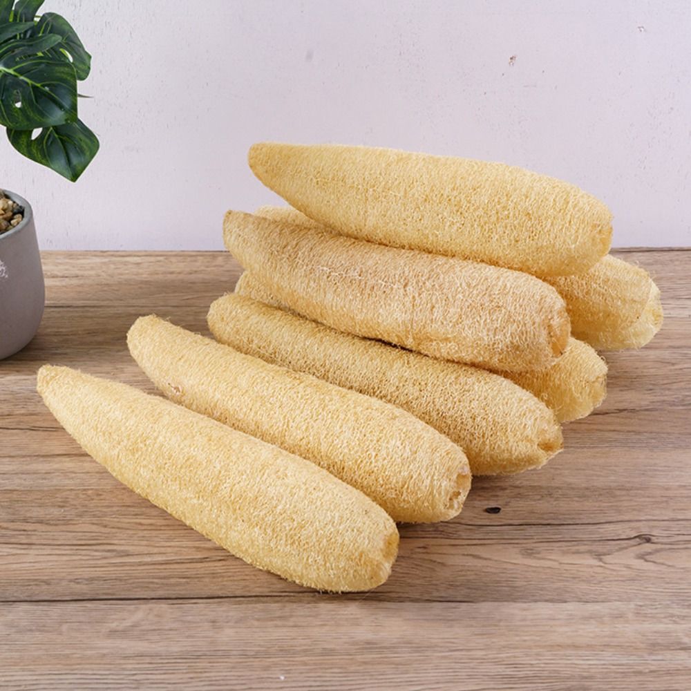 إسفنجة لوفة طبيعية غير لاصقة ط - مراجعة Body Loofah Natural وسعره