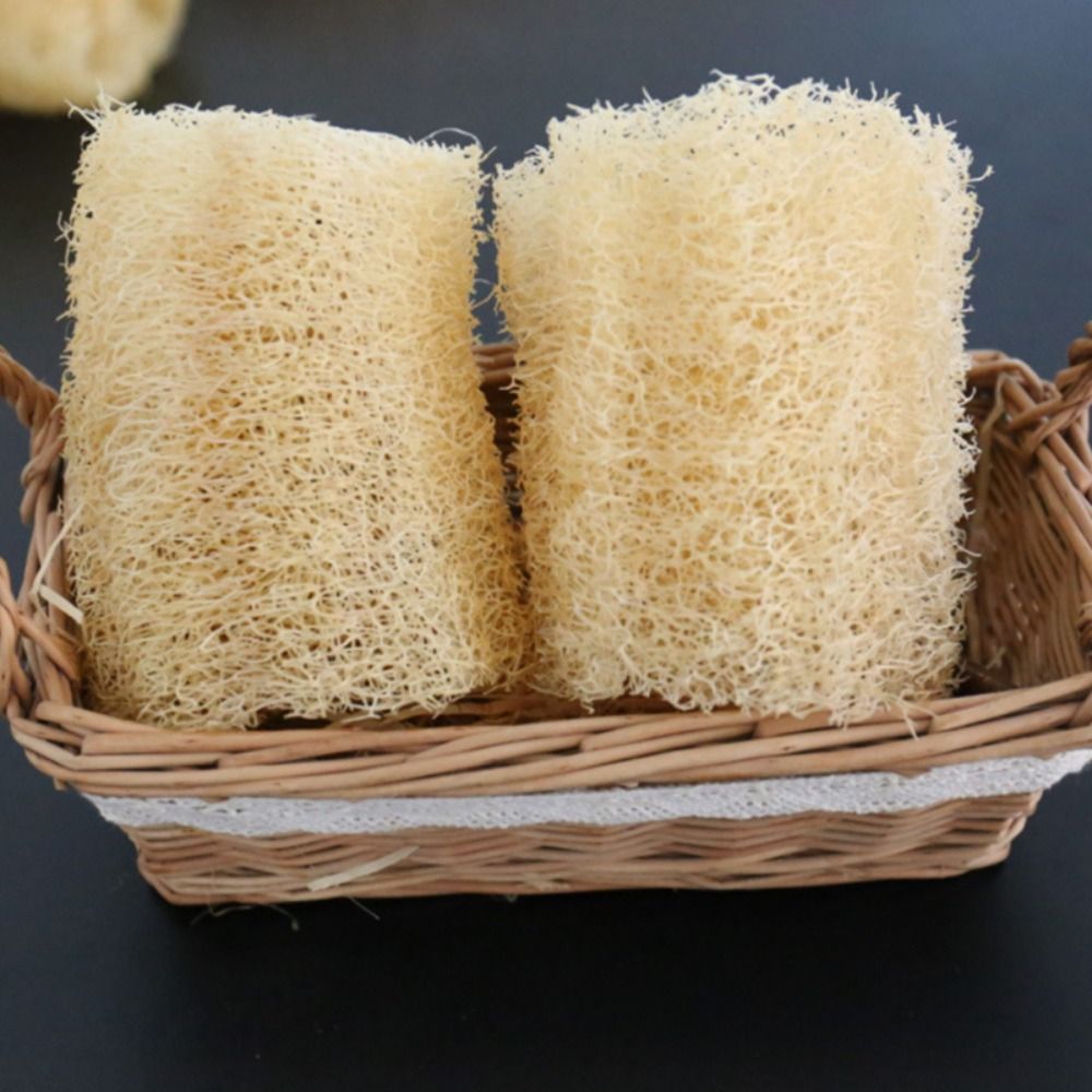 إسفنجة لوفة طبيعية غير لاصقة ط - مراجعة Body Loofah Natural وسعره