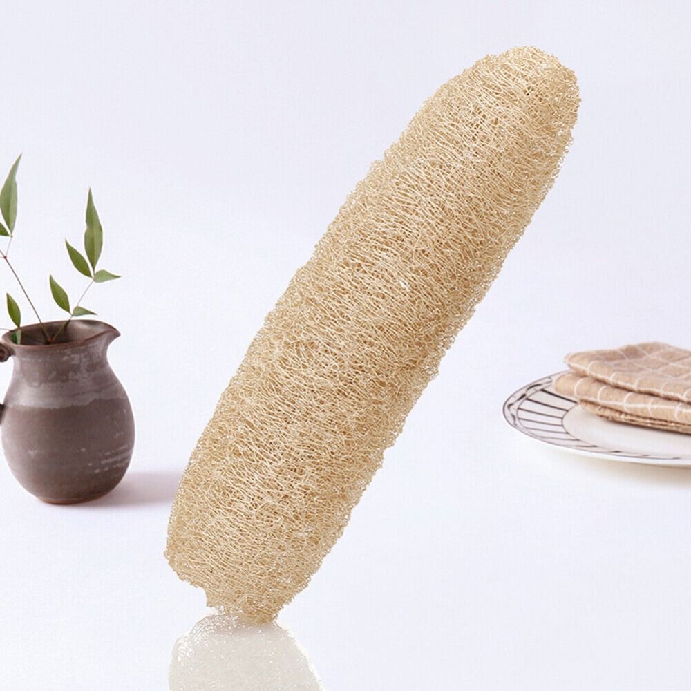 إسفنجة لوفة طبيعية طويلة صديقة - مراجعة Body Loofah Natural وسعره