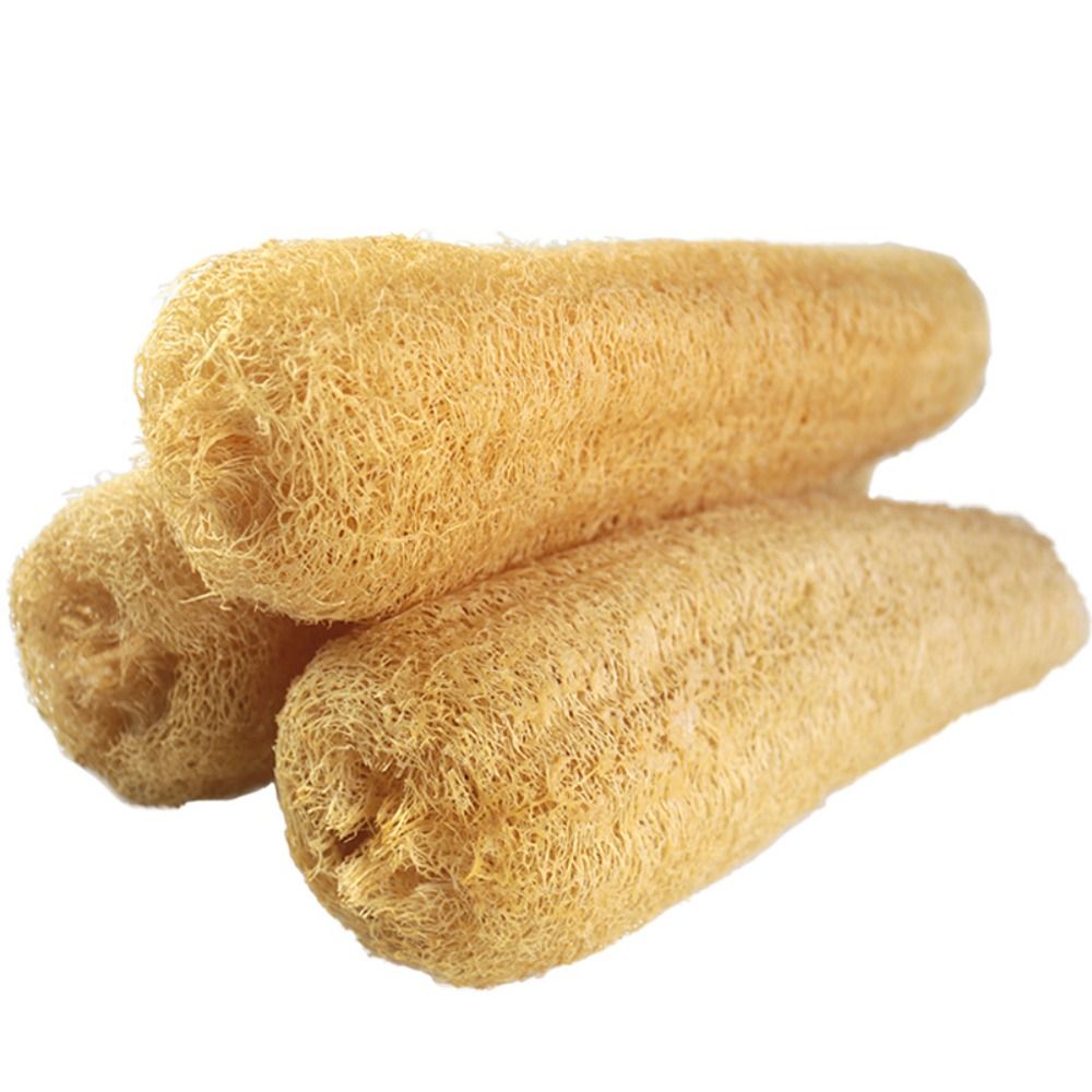 إسفنجة لوفة طبيعية طويلة صديقة - مراجعة Body Loofah Natural وسعره