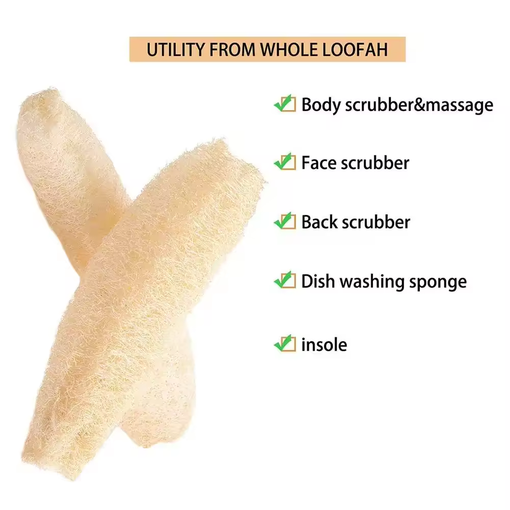اللوف الطبيعي الإسفنج أداة تنظ - مراجعة Body Loofah Natural وسعره