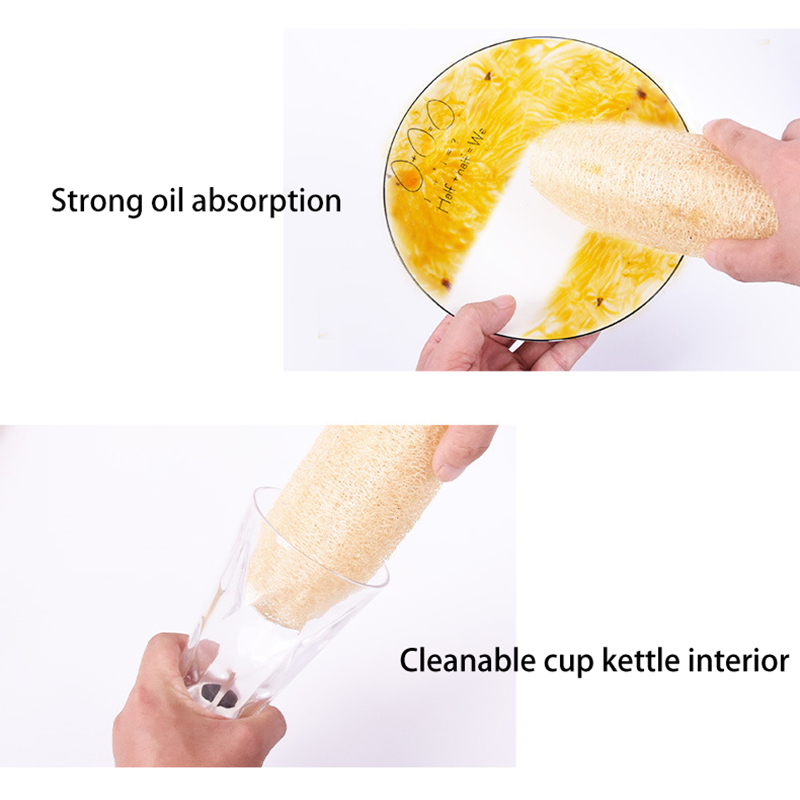 إسفنجة اللوف الطبيعية لأواني ا - مراجعة Body Loofah Natural وسعره