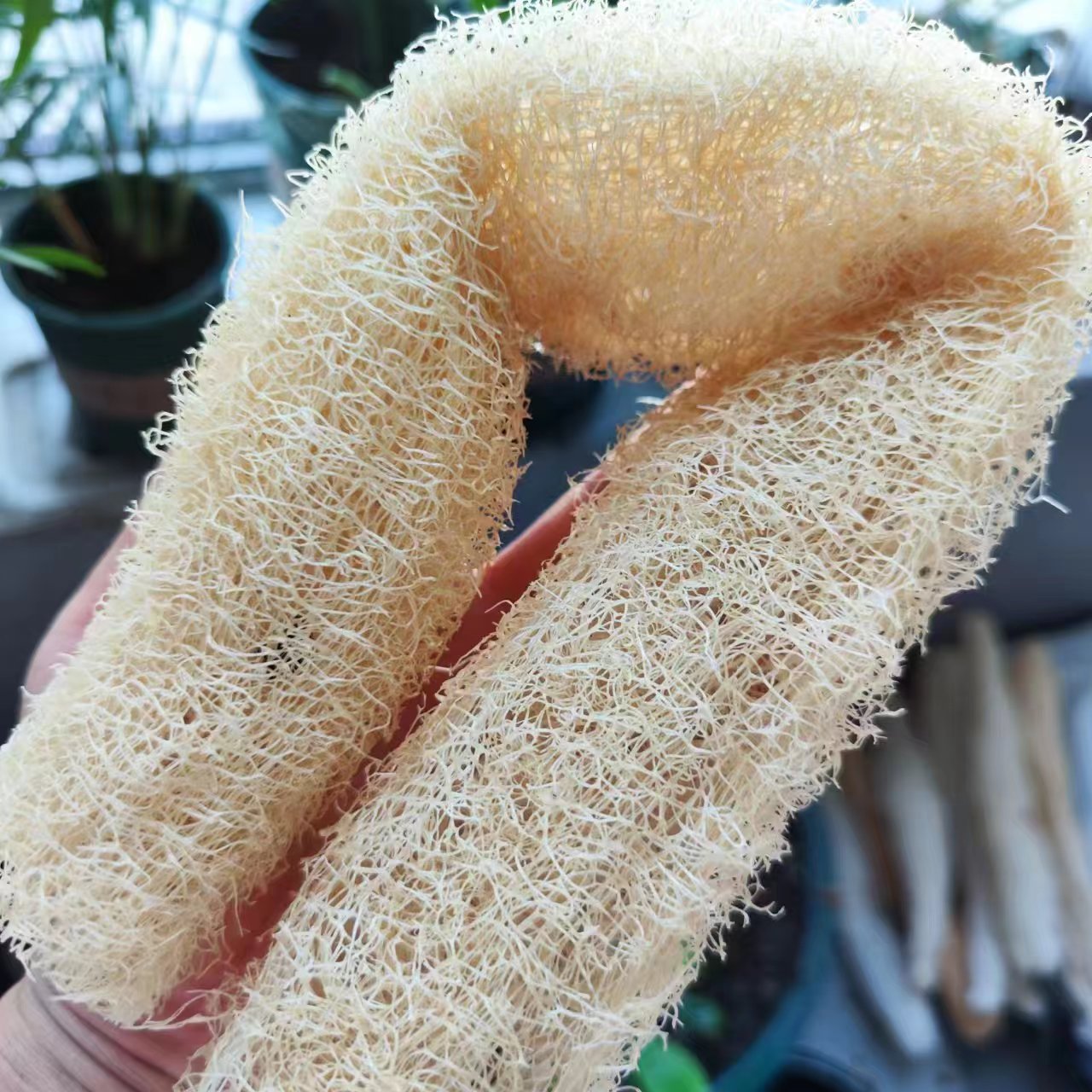 مساعد تطهير الألياف الطبيعية ، - مراجعة Body Loofah Natural وسعره