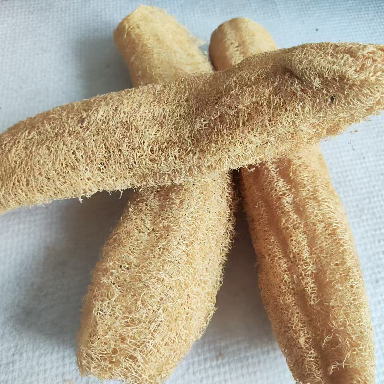 مساعد تطهير الألياف الطبيعية ، - مراجعة Body Loofah Natural وسعره