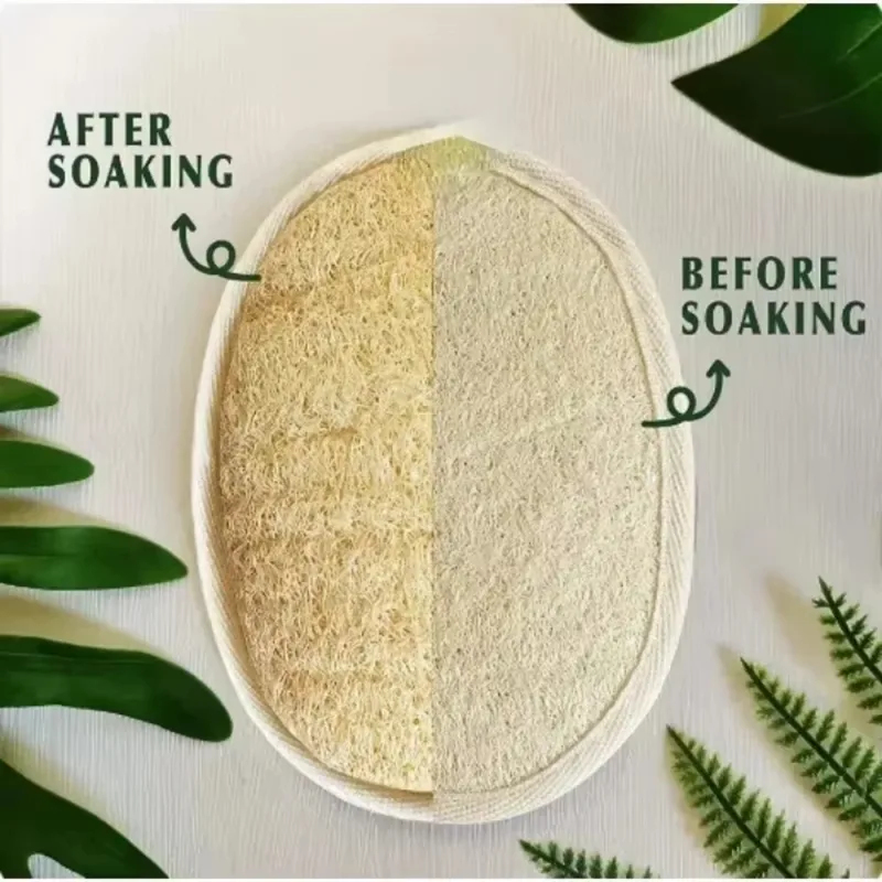 إسفنجة ليفة استحمام طبيعية للت - مراجعة Body Loofah Natural وسعره